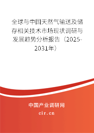 全球與中國天然氣輸送及儲存相關技術市場現(xiàn)狀調研與發(fā)展趨勢分析報告（2024-2030年）