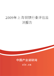 2009年上海鋼鐵行業(yè)評估監(jiān)測報(bào)告