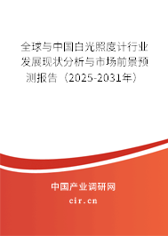 全球與中國白光照度計(jì)行業(yè)發(fā)展現(xiàn)狀分析與市場前景預(yù)測報(bào)告（2025-2031年）