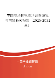 中國電動拖把市場調(diào)查研究與前景趨勢報告（2024-2030年）