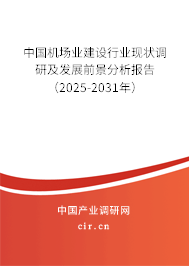 中國(guó)機(jī)場(chǎng)業(yè)建設(shè)行業(yè)現(xiàn)狀調(diào)研及發(fā)展前景分析報(bào)告（2025-2031年）