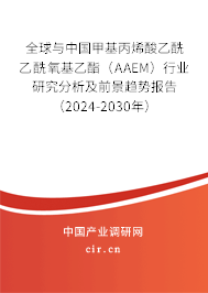 全球與中國甲基丙烯酸乙酰乙酰氧基乙酯（AAEM）行業(yè)研究分析及前景趨勢報告（2024-2030年）