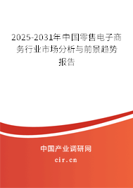 2025-2031年中國零售電子商務(wù)行業(yè)市場分析與前景趨勢報告