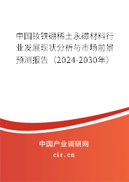 中國釹鐵硼稀土永磁材料行業(yè)發(fā)展現(xiàn)狀分析與市場前景預(yù)測報(bào)告（2024-2030年）