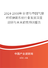 2024-2030年全球與中國氣撐桿和彈簧系統(tǒng)行業(yè)發(fā)展深度調(diào)研與未來趨勢(shì)預(yù)測(cè)報(bào)告