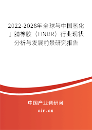 2022-2028年全球與中國氫化丁腈橡膠（HNBR）行業(yè)現(xiàn)狀分析與發(fā)展前景研究報告