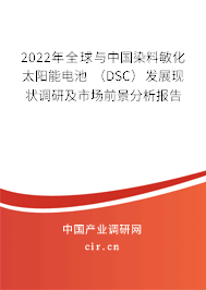 2022年全球與中國(guó)染料敏化太陽(yáng)能電池 （DSC）發(fā)展現(xiàn)狀調(diào)研及市場(chǎng)前景分析報(bào)告