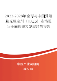 2022-2028年全球與中國(guó)受阻胺光穩(wěn)定劑（HALS）市場(chǎng)現(xiàn)狀全面調(diào)研及發(fā)展趨勢(shì)報(bào)告