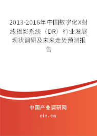2013-2016年中國數(shù)字化X射線攝影系統(tǒng)（DR）行業(yè)發(fā)展現(xiàn)狀調(diào)研及未來走勢預(yù)測報告