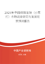 2025年中國碳酸氫鈉（小蘇打）市場調(diào)查研究與發(fā)展前景預(yù)測報告