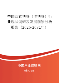 中國西式快餐（洋快餐）行業(yè)現(xiàn)狀調研及發(fā)展前景分析報告（2025-2031年）