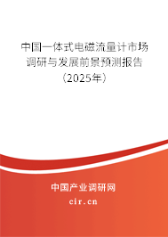 中國一體式電磁流量計市場調(diào)研與發(fā)展前景預測報告（2025年）