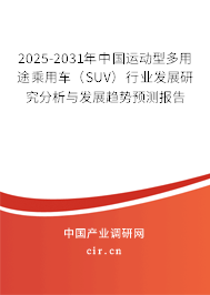 2025-2031年中國運動型多用途乘用車（SUV）行業(yè)發(fā)展研究分析與發(fā)展趨勢預測報告