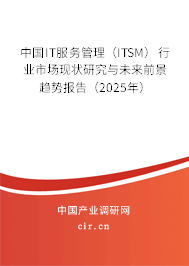中國IT服務(wù)管理（ITSM）行業(yè)市場現(xiàn)狀研究與未來前景趨勢報(bào)告（2025年）