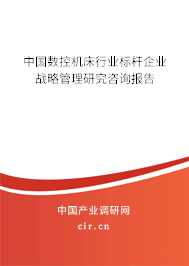 中國數(shù)控機床行業(yè)標(biāo)桿企業(yè)戰(zhàn)略管理研究咨詢報告