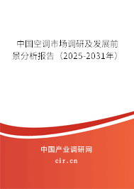中國空調(diào)市場調(diào)研及發(fā)展前景分析報告（2025-2031年）