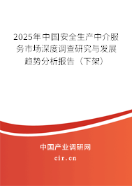 2025年中國安全生產中介服務市場深度調查研究與發(fā)展趨勢分析報告（下架）