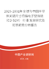 2025-2031年全球與中國(guó)半導(dǎo)體關(guān)鍵尺寸掃描電子顯微鏡（CD-SEM）行業(yè)發(fā)展研究及前景趨勢(shì)分析報(bào)告