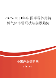 2025-2031年中國半導(dǎo)體用特種氣體市場現(xiàn)狀與前景趨勢