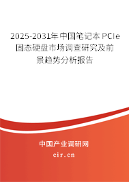2025-2031年中國筆記本PCIe固態(tài)硬盤市場調(diào)查研究及前景趨勢分析報告