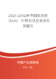 2025-2031年中國(guó)氮化鎵（GaN）市場(chǎng)現(xiàn)狀及發(fā)展前景報(bào)告