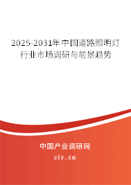 2025-2031年中國(guó)道路照明燈行業(yè)市場(chǎng)調(diào)研與前景趨勢(shì)