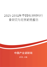2025-2031年中國電池材料行業(yè)研究與前景趨勢報告
