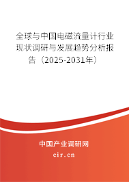 全球與中國電磁流量計(jì)行業(yè)現(xiàn)狀調(diào)研與發(fā)展趨勢分析報(bào)告（2024-2030年）