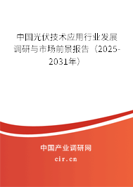 中國(guó)光伏技術(shù)應(yīng)用行業(yè)發(fā)展調(diào)研與市場(chǎng)前景報(bào)告（2025-2031年）