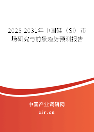 2025-2031年中國硅（Si）市場研究與前景趨勢預測報告