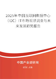 2025年中國互聯(lián)網(wǎng)數(shù)據(jù)中心（IDC）IT市場現(xiàn)狀調(diào)查與未來發(fā)展趨勢報告