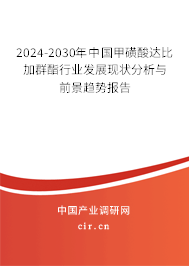 2024-2030年中國(guó)甲磺酸達(dá)比加群酯行業(yè)發(fā)展現(xiàn)狀分析與前景趨勢(shì)報(bào)告
