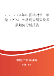 2025-2031年中國(guó)精對(duì)苯二甲酸（PTA）市場(chǎng)調(diào)查研究及發(fā)展趨勢(shì)分析報(bào)告
