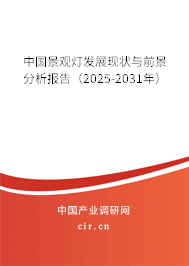 中國景觀燈發(fā)展現(xiàn)狀與前景分析報(bào)告（2025-2031年）
