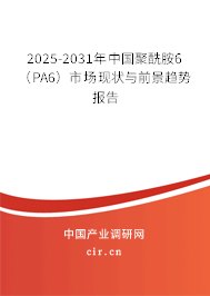 2025-2031年中國聚酰胺6（PA6）市場(chǎng)現(xiàn)狀與前景趨勢(shì)報(bào)告