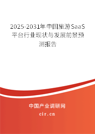 2025-2031年中國旅游SaaS平臺行業(yè)現(xiàn)狀與發(fā)展前景預測報告