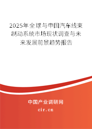 2025年全球與中國汽車線束制動系統(tǒng)市場現(xiàn)狀調查與未來發(fā)展前景趨勢報告