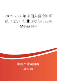 2025-2031年中國入侵檢測(cè)系統(tǒng)（IDS）行業(yè)現(xiàn)狀與行業(yè)前景分析報(bào)告