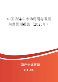 中國沙灘車市場調研與發(fā)展前景預測報告（2025年）