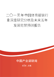二〇一三年中國體育服裝行業(yè)深度研究分析及未來五年發(fā)展前景預(yù)測報(bào)告