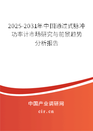 2025-2031年中國(guó)通過式脈沖功率計(jì)市場(chǎng)研究與前景趨勢(shì)分析報(bào)告