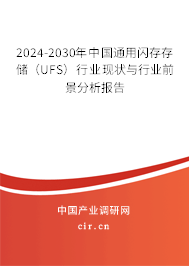 2024-2030年中國通用閃存存儲（UFS）行業(yè)現狀與行業(yè)前景分析報告