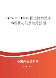 2025-2031年中國土豬養(yǎng)殖市場現(xiàn)狀與前景趨勢預(yù)測