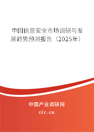 中國信息安全市場調(diào)研與發(fā)展趨勢預(yù)測報告（2025年）