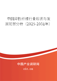 中國異性纖維行業(yè)現(xiàn)狀與發(fā)展前景分析（2025-2031年）