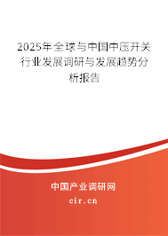 2025年全球與中國(guó)中壓開(kāi)關(guān)行業(yè)發(fā)展調(diào)研與發(fā)展趨勢(shì)分析報(bào)告