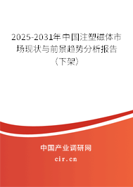 2025-2031年中國(guó)注塑磁體市場(chǎng)現(xiàn)狀與前景趨勢(shì)分析報(bào)告（下架）
