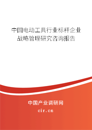 中國電動工具行業(yè)標(biāo)桿企業(yè)戰(zhàn)略管理研究咨詢報告