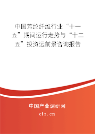 中國芳綸纖維行業(yè)“十一五”期間運行走勢與“十二五”投資遠前景咨詢報告