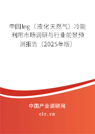 中國lng（液化天然氣）冷能利用市場調(diào)研與行業(yè)前景預(yù)測報告（2025年版）